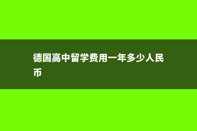 德国留学高中条件(德国高中留学费用一年多少人民币)