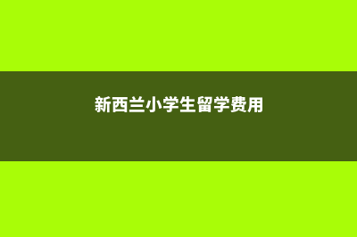 新西兰中小学留学费用(新西兰小学生留学费用)