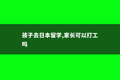 日本孩子出国留学费用多少(孩子去日本留学,家长可以打工吗)