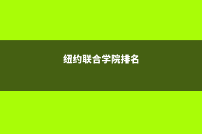 纽约联邦大学留学费用(纽约联合学院排名)