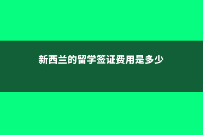 新加坡留学公立本科费用(新加坡留学公立大学)