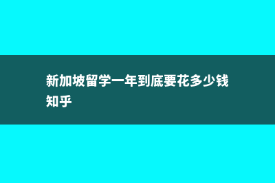 新加坡留学1年费用(新加坡留学一年到底要花多少钱知乎)