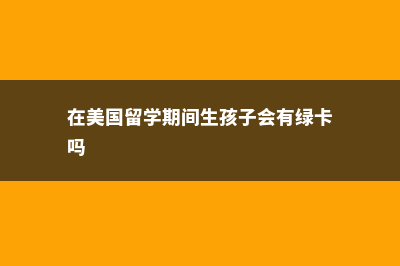 美国留学孩子生活费用(在美国留学期间生孩子会有绿卡吗)