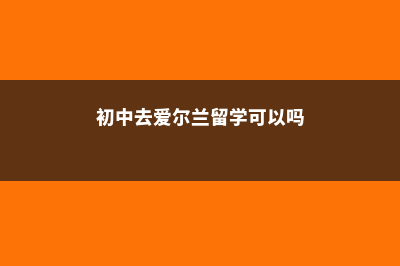 初中去爱尔兰留学费用(初中去爱尔兰留学可以吗)