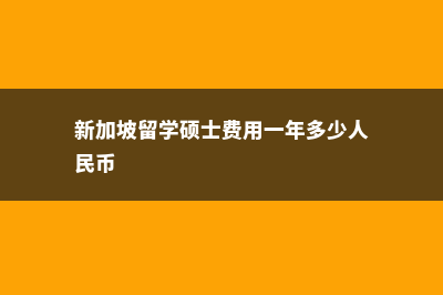 新加坡留学硕士音乐生费用(新加坡留学硕士费用一年多少人民币)