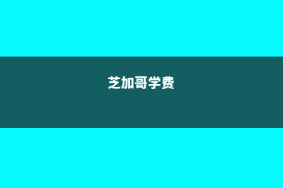 芝加哥高中留学费用(芝加哥学费)