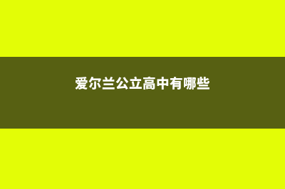 爱尔兰公立高中留学费用(爱尔兰公立高中有哪些)