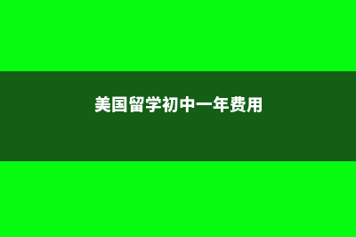 初中留学美国费用多少合适(美国留学初中一年费用)