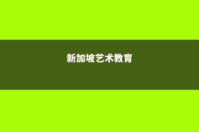 日本艺术修士留学费用多少(日本艺术类修士)