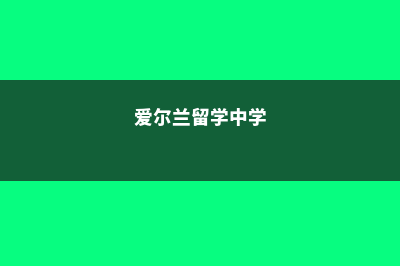 爱尔兰留学小学费用多少(爱尔兰留学中学)