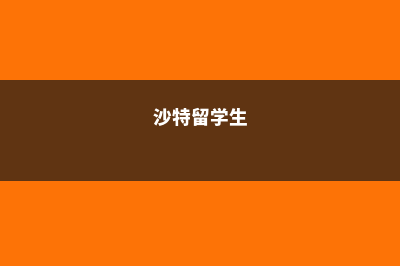 美国沙特大学留学费用(沙特留学生)