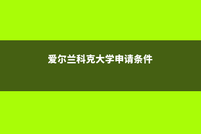 爱尔兰科克大学会计专业(爱尔兰科克大学申请条件)