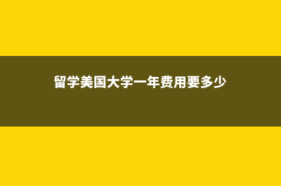 留学美国大学一年费用(留学美国大学一年费用要多少)