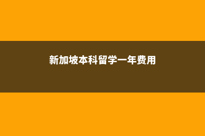 新加坡本科留学公立和私立费用(新加坡本科留学一年费用)