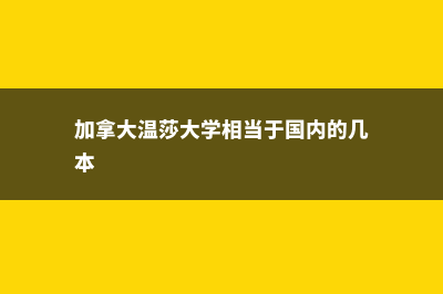 高中去荷兰留学费用(高中去荷兰留学好吗)