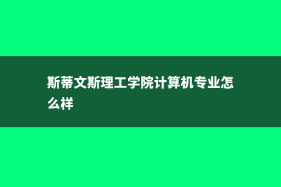 斯蒂文斯理工学院在美国哪里(斯蒂文斯理工学院计算机专业怎么样)