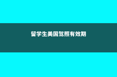 留学生的美国驾照有哪些用途(留学生美国驾照有效期)