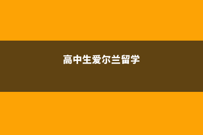 高中去爱尔兰留学费用(高中生爱尔兰留学)