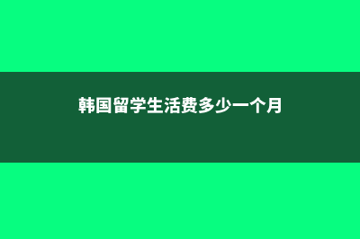 韩国留学生活费(韩国留学生活费多少一个月)