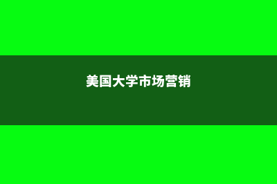 美国大学市场分析硕士留学解析(美国大学市场营销)