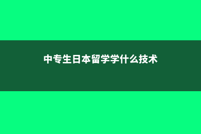 中专生在日本留学费用(中专生日本留学学什么技术)