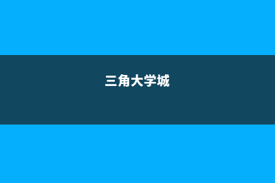 三角洲学院的奖学金政策(三角大学城)