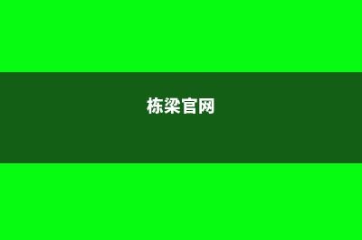 栋梁学院申请流程详细解析(栋梁官网)