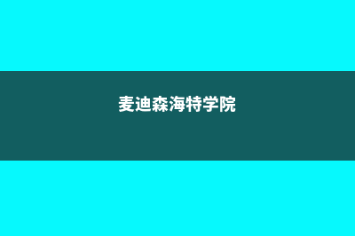 申请麦迪森海特学院的步骤与注意事项(麦迪森海特学院)