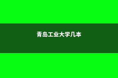 什切青工业大学留学奖学金多少钱(青岛工业大学几本)