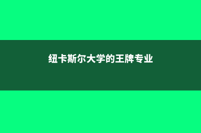 纽卡斯尔大学的奖学金政策(纽卡斯尔大学的王牌专业)