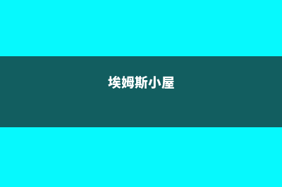 申请埃姆斯社区学院需要多少申请费(埃姆斯小屋)