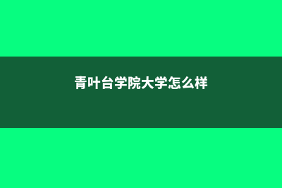 青叶外国语学院住宿费用明细(青叶台学院大学怎么样)