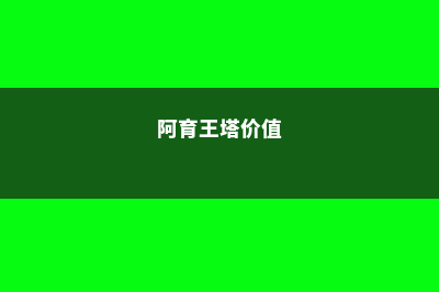 阿育塔亚皇家大学中央日报排名情况及分析(阿育王塔价值)