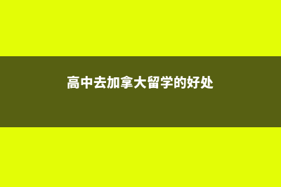 高中去加拿大留学多少费用(高中去加拿大留学的好处)