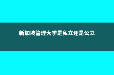 新加坡管理大学硕士毕业薪资(新加坡管理大学是私立还是公立)