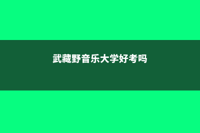 武藏野音乐大学申请费(武藏野音乐大学好考吗)