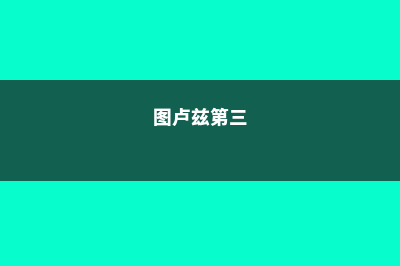 蒂宾根大学留学申请有哪些常见问题(蒂宾根大学和图宾根大学是一所学校吗?)