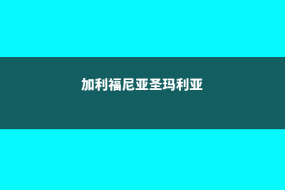 高中去新加坡留学项目费用(高中去新加坡留学)