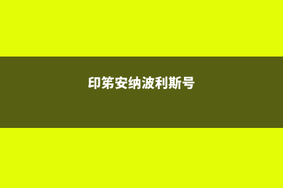 安纳波利斯基督学校专业排名(印笫安纳波利斯号)