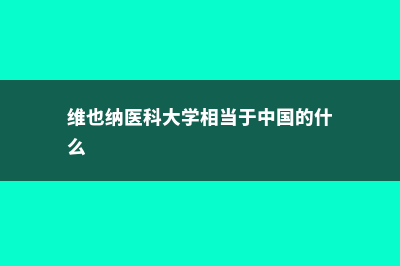 维也纳医科大学数学本科专业(维也纳医科大学相当于中国的什么)