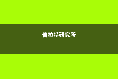 普拉特学院安大略分校申请攻略汇总(普拉特研究所)