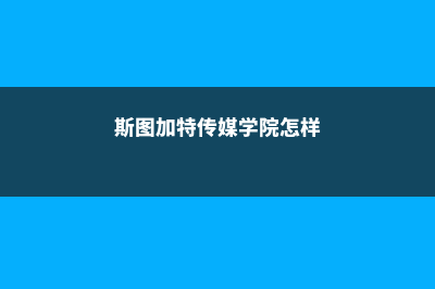 斯图加特传媒学院就业形式分析(斯图加特传媒学院怎样)