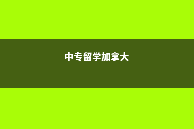 美国硕士留学如何规划？(留学美国硕士生)