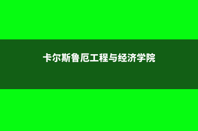 卡尔斯鲁厄师范学院留学申请有哪些常见问题(卡尔斯鲁厄工程与经济学院)