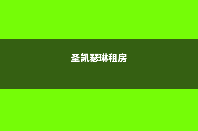 圣卡瑟琳学校学费多少人民币一学期(圣凯瑟琳租房)